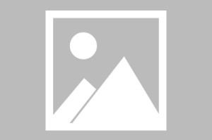 从零开始学HTML，掌握网页开发的基础html